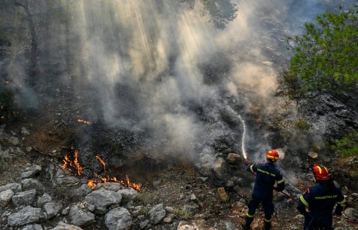 WhatsApp Image 2026-03-24 at 1.45.11 PM